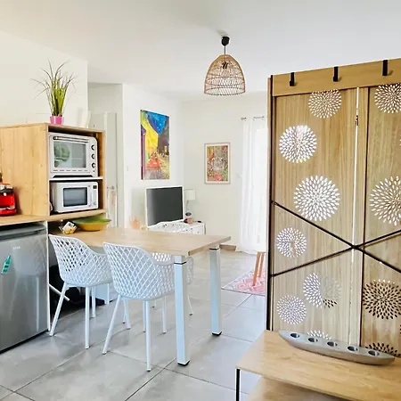 Апартаменты Independant Terrasse Vue Montagne, Proche Argeles *